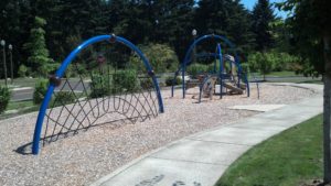 Salishan Playspace - Weevos