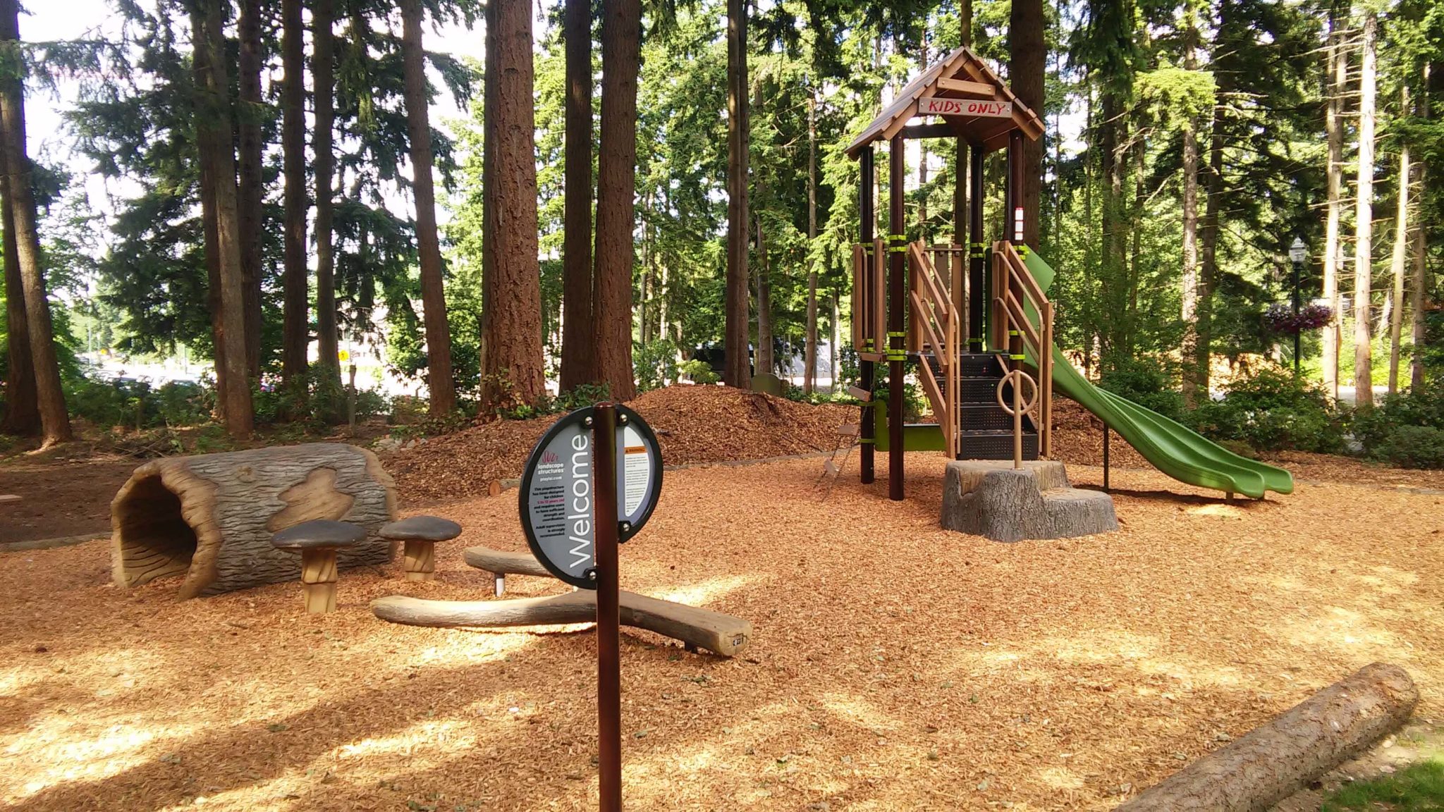 Homestead Park - Nature Inspired Playground