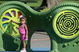 Evergreen Rotary Park Inclusive Playground