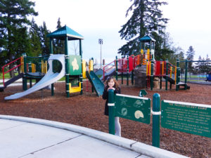 Brighton Playfield playground