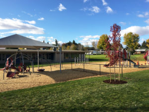 Christ the Teacher School Playground