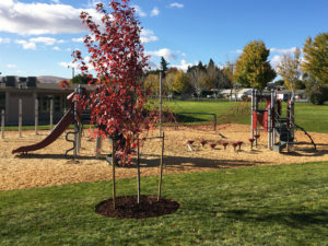 Christ the Teacher School Playground