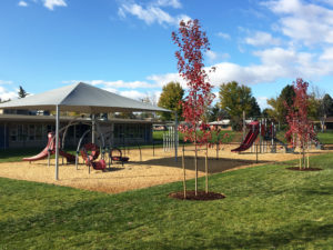 Christ the Teacher School Playground