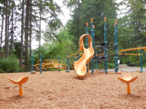 Sunwood Lakes HOA Playground