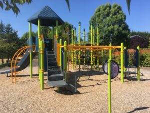 Renaissance Ridge Playground