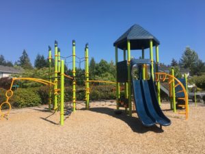 Renaissance Ridge Playground