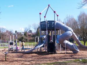 Montlake Community Park Playground