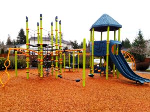 Renaissance Ridge Playground