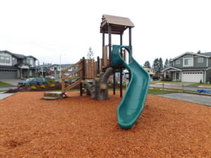 Spring Haven HOA Nature Inspired Playground