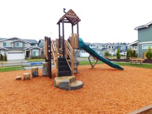 Spring Haven HOA Nature Inspired Playground