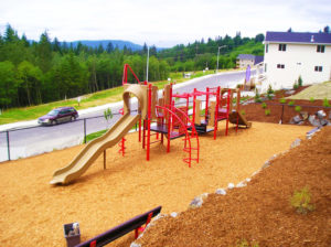 Timber Ridge Community Park - PlaySesne Equipment