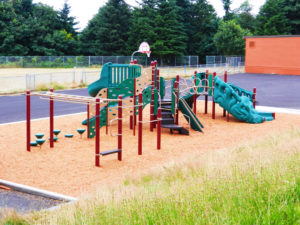 Viewlands Elementary - PlayBooster