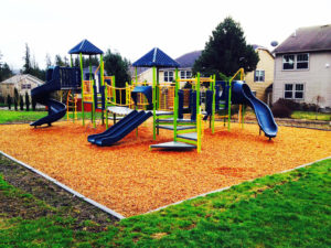 Wesley Park Playground