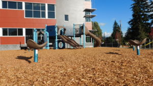 Arbor Heights Elementary School Playground