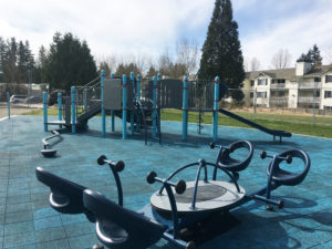 Hauge Homestead Park Playground