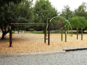 Cedar River Montessori Playground
