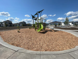 Foxtail Community Playground