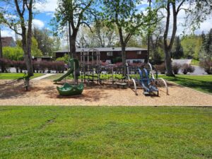 Reaney Park Playground