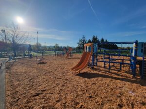 Daffodil Valley Elementary Playground