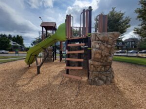 Ferry Park Playground