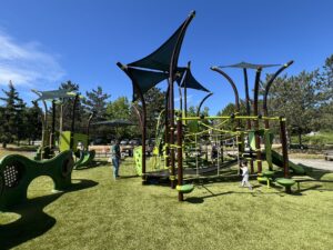 Forsgren Park Playground